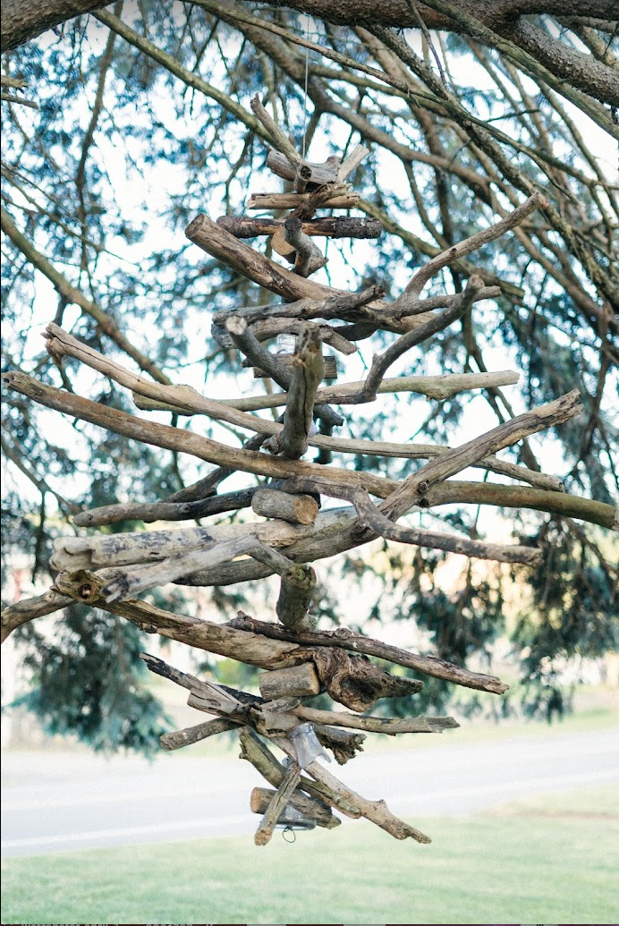 Driftwood sculpture in daylight