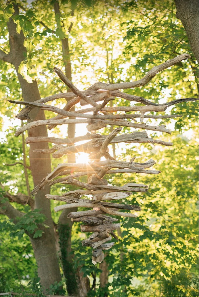 Driftwood Sculpture in sunlight