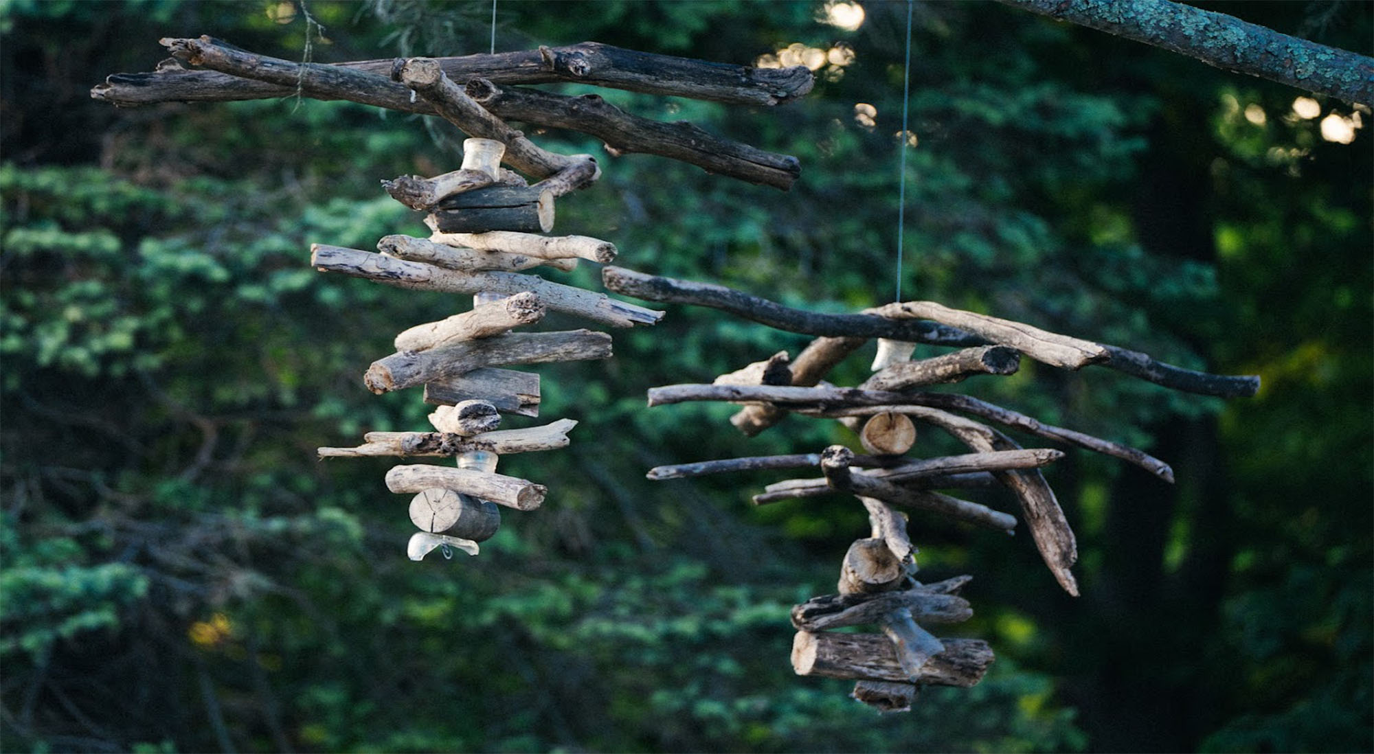 Driftwood art sculptures hanging from a beautiful pine tree